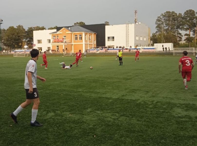 Домашнее фиаско