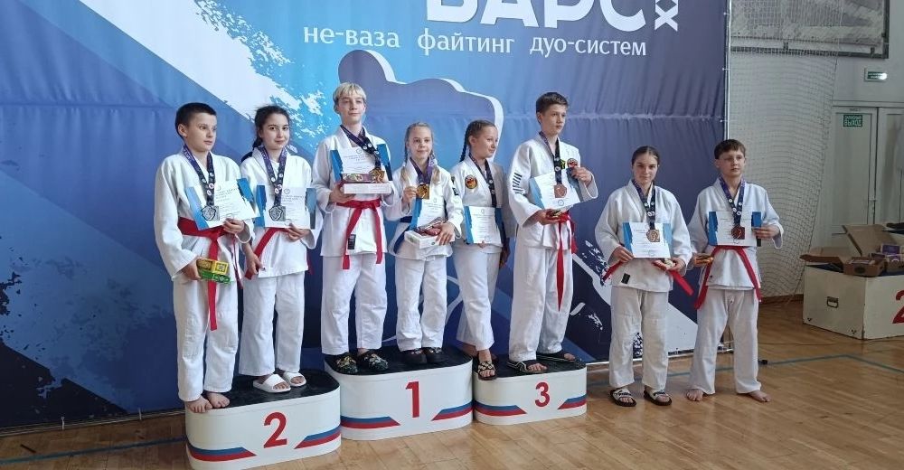 Успехи в джиу-джитсу