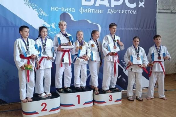 Успехи в джиу-джитсу