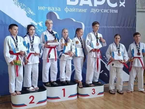 Успехи в джиу-джитсу